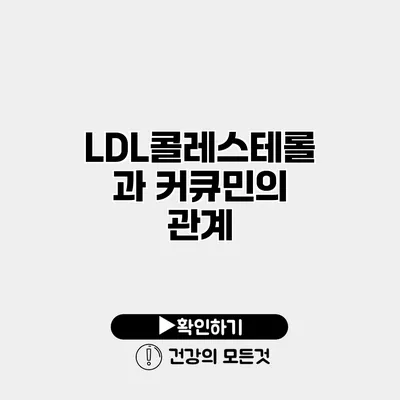 LDL콜레스테롤과 커큐민의 관계