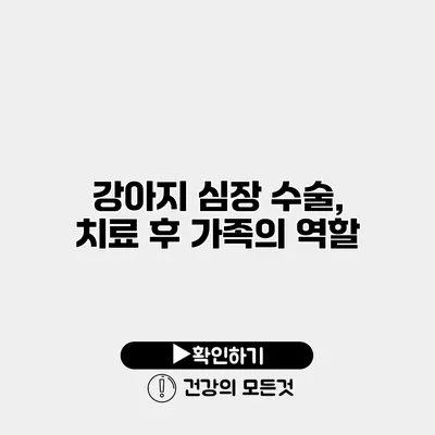 강아지 심장 수술, 치료 후 가족의 역할