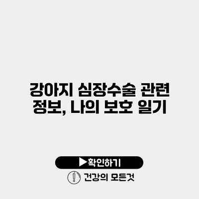강아지 심장수술 관련 정보, 나의 보호 일기