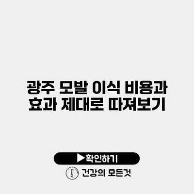 광주 모발 이식 비용과 효과 제대로 따져보기