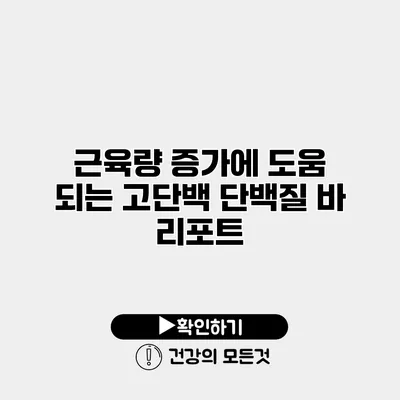 근육량 증가에 도움 되는 고단백 단백질 바 리포트