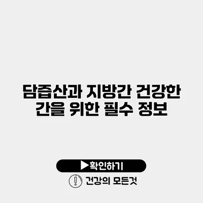담즙산과 지방간 건강한 간을 위한 필수 정보