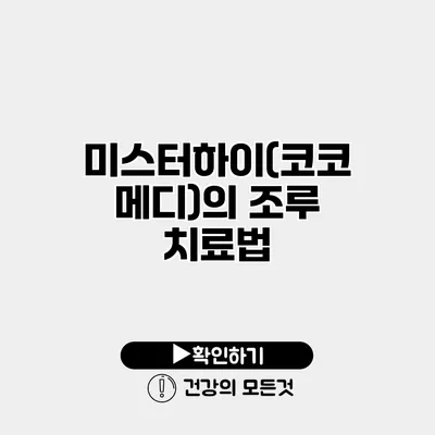 미스터하이(코코메디)의 조루 치료법
