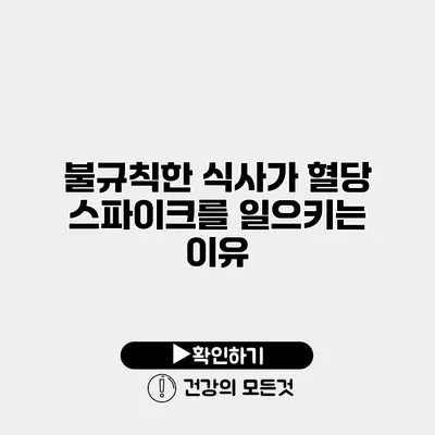 불규칙한 식사가 혈당 스파이크를 일으키는 이유