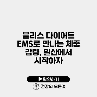블리스 다이어트 EMS로 만나는 체중 감량, 일산에서 시작하자