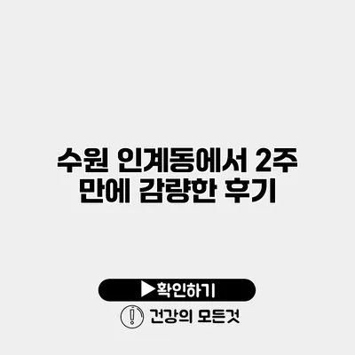 수원 인계동에서 2주 만에 감량한 후기