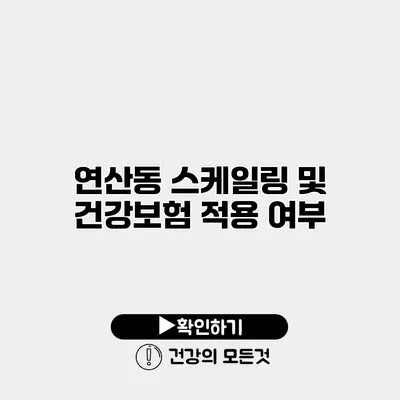 연산동 스케일링 및 건강보험 적용 여부