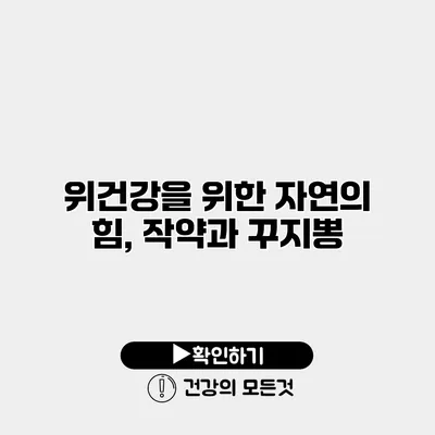 위건강을 위한 자연의 힘, 작약과 꾸지뽕