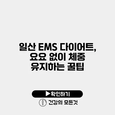 일산 EMS 다이어트, 요요 없이 체중 유지하는 꿀팁