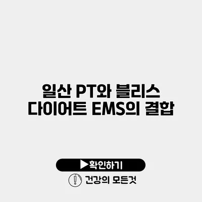 일산 PT와 블리스 다이어트 EMS의 결합