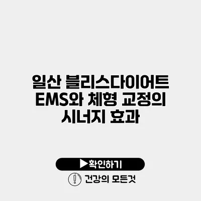 일산 블리스다이어트 EMS와 체형 교정의 시너지 효과