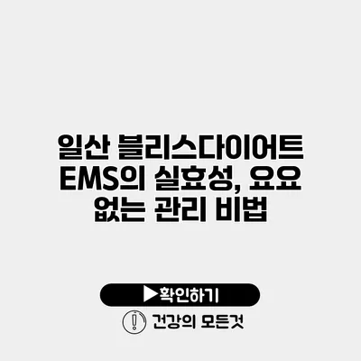 일산 블리스다이어트 EMS의 실효성, 요요 없는 관리 비법