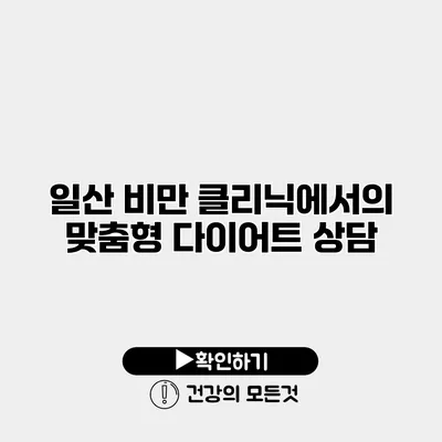 일산 비만 클리닉에서의 맞춤형 다이어트 상담