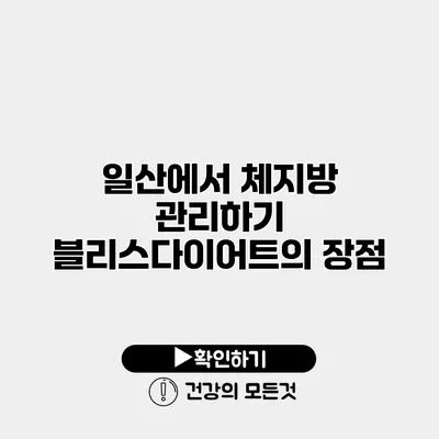 일산에서 체지방 관리하기 블리스다이어트의 장점