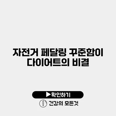 자전거 페달링 꾸준함이 다이어트의 비결