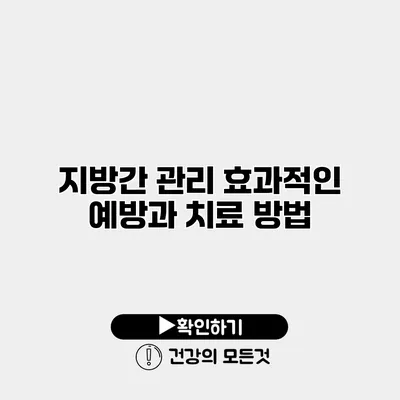 지방간 관리 효과적인 예방과 치료 방법
