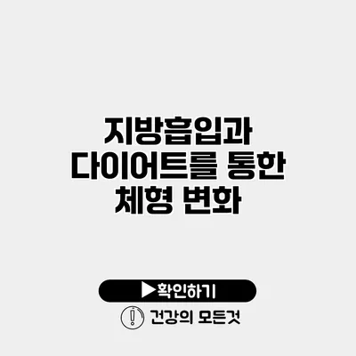 지방흡입과 다이어트를 통한 체형 변화