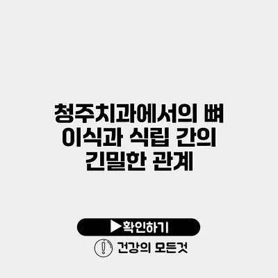 청주치과에서의 뼈 이식과 식립 간의 긴밀한 관계