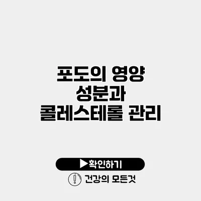포도의 영양 성분과 콜레스테롤 관리