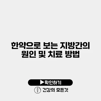 한약으로 보는 지방간의 원인 및 치료 방법