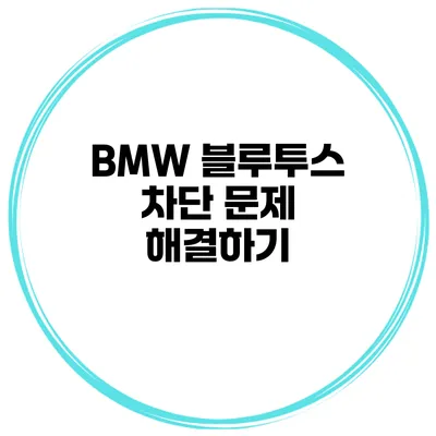 BMW 블루투스 차단 문제 해결하기