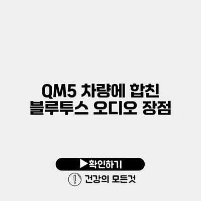 QM5 차량에 합친 블루투스 오디오 장점