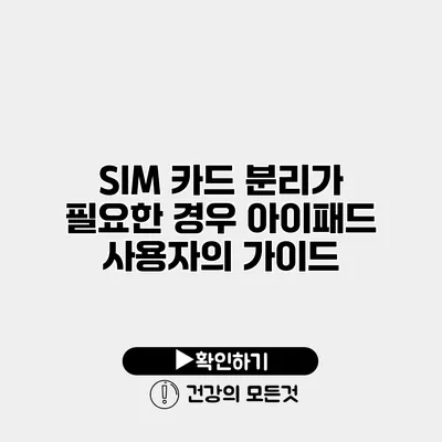 SIM 카드 분리가 필요한 경우 아이패드 사용자의 가이드
