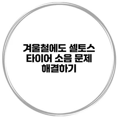 겨울철에도 셀토스 타이어 소음 문제 해결하기