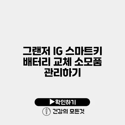 그랜저 IG 스마트키 배터리 교체 소모품 관리하기