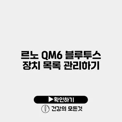 르노 QM6 블루투스 장치 목록 관리하기