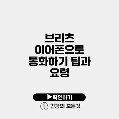 브리츠 이어폰으로 통화하기 팁과 요령