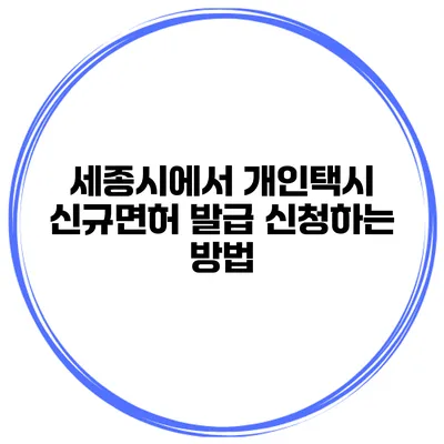 세종시에서 개인택시 신규면허 발급 신청하는 방법
