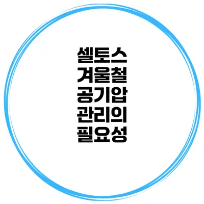 셀토스 겨울철 공기압 관리의 필요성