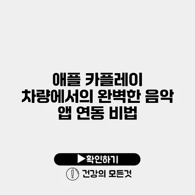 애플 카플레이 차량에서의 완벽한 음악 앱 연동 비법