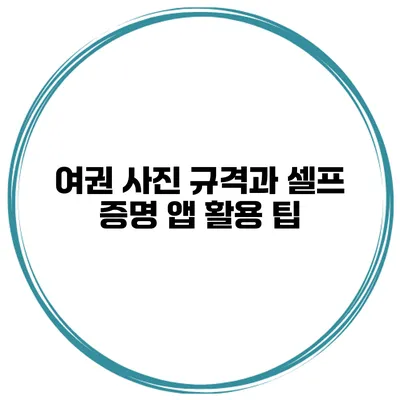 여권 사진 규격과 셀프 증명 앱 활용 팁