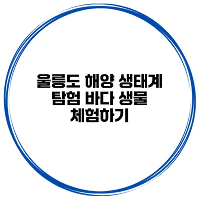 울릉도 해양 생태계 탐험 바다 생물 체험하기