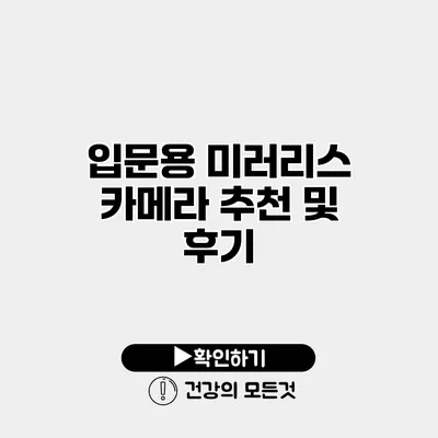 입문용 미러리스 카메라 추천 및 후기