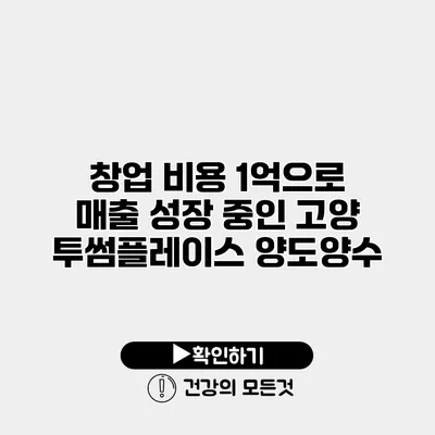 창업 비용 1억으로 매출 성장 중인 고양 투썸플레이스 양도양수